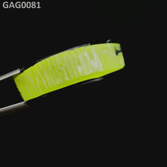 GAGG : GAG0081