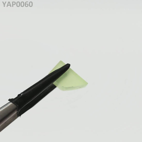 Pr:YAP : YAP0060