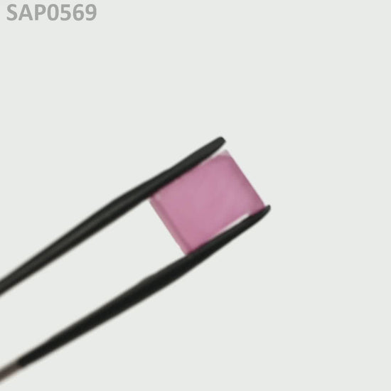 Vivid Pink Sapphire : SAP0569