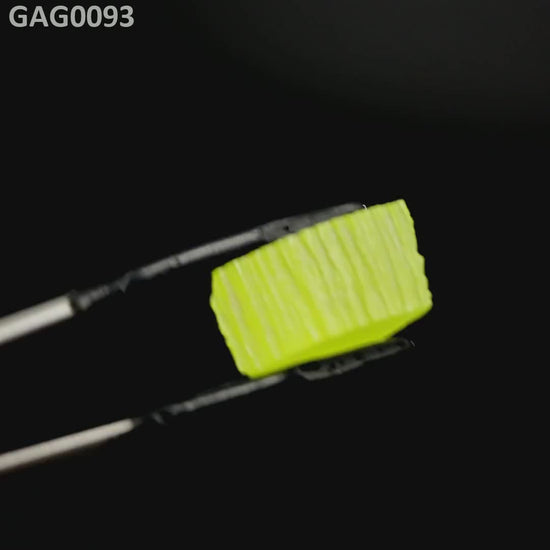 GAGG : GAG0093