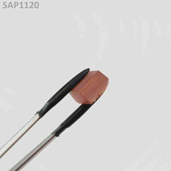 Blood Orange Sapphire : SAP1120