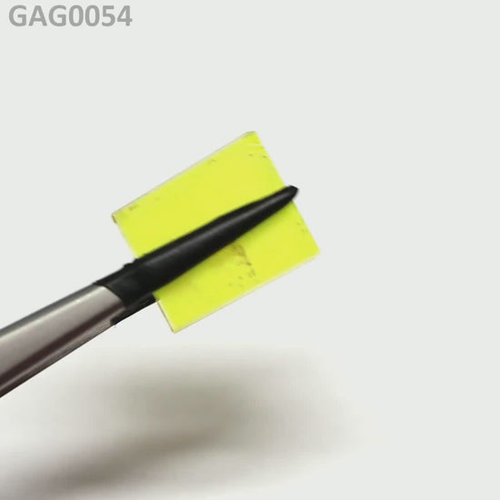 GAGG : GAG0054