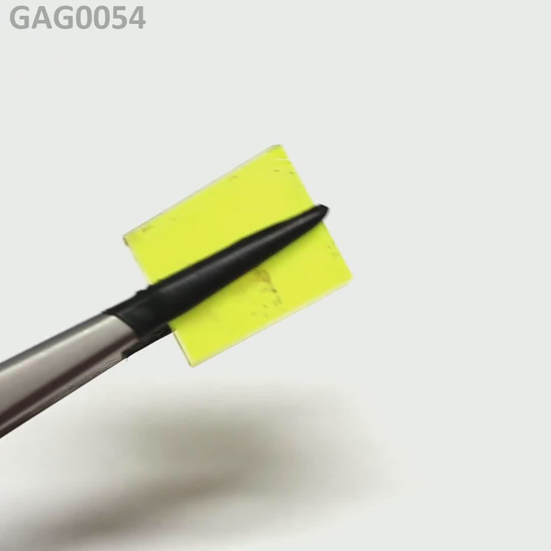 GAGG : GAG0054