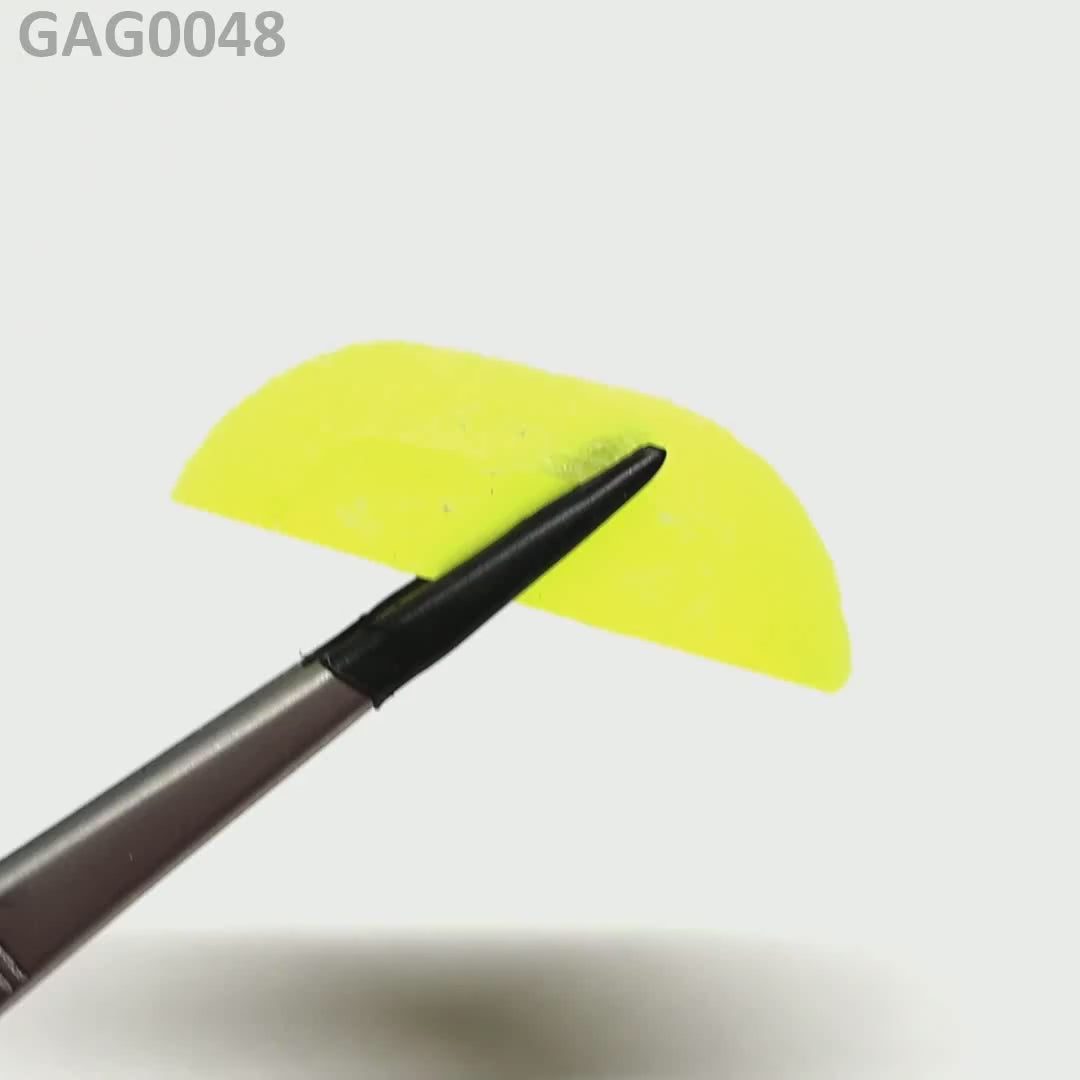 GAGG : GAG0048