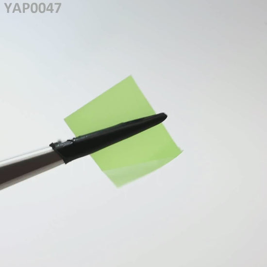 Pr:YAP : YAP0047
