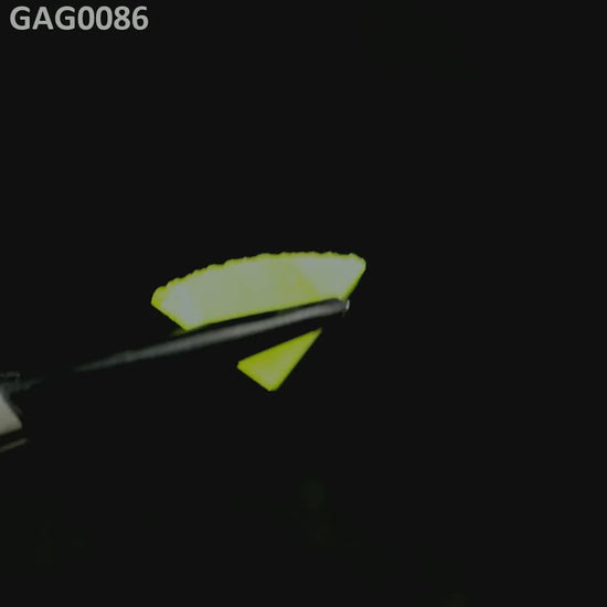 GAGG : GAG0086