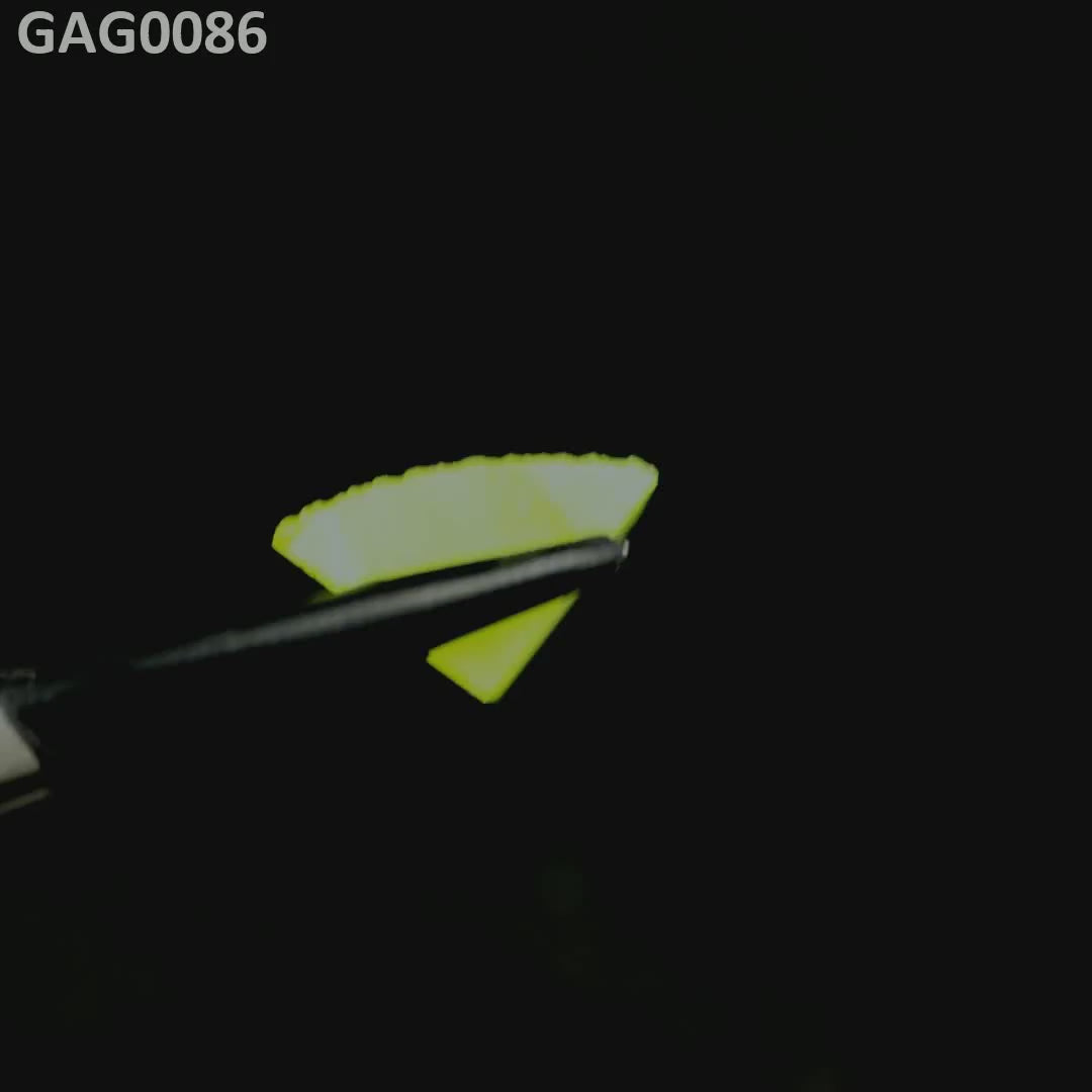 GAGG : GAG0086