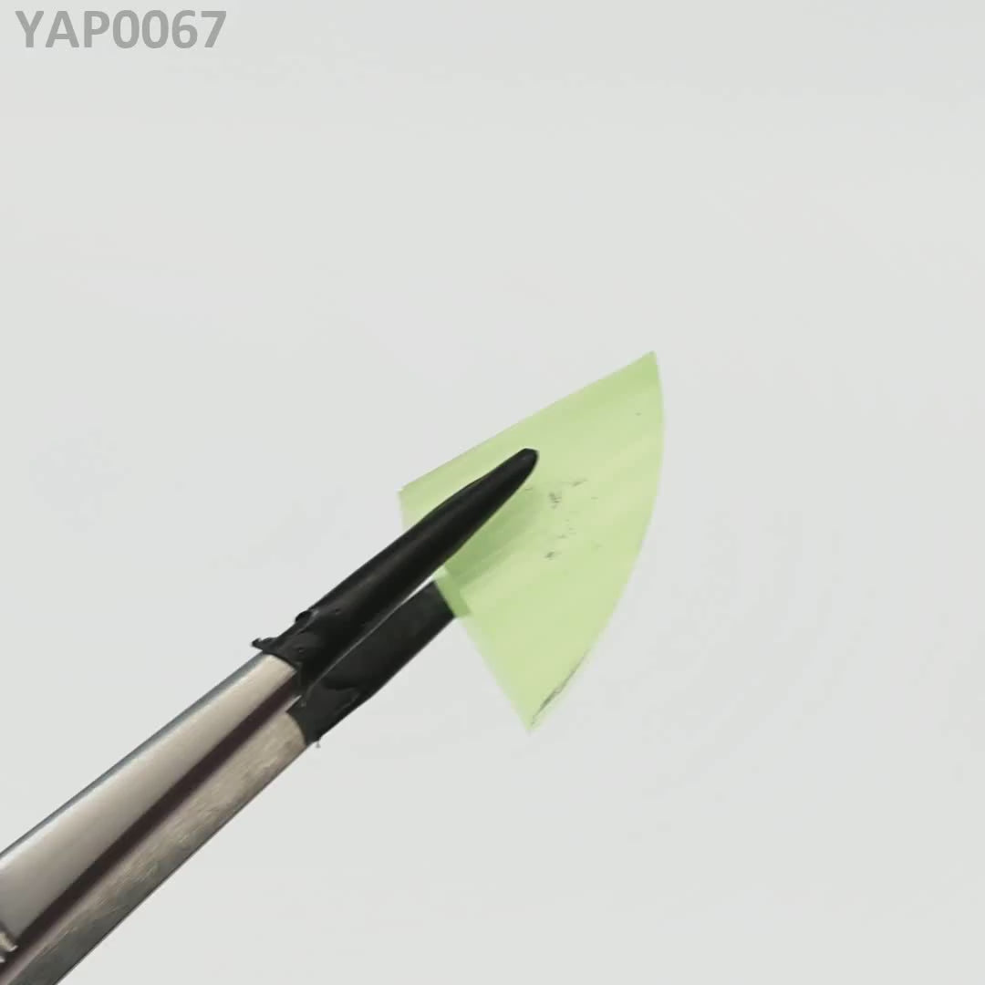 Pr:YAP : YAP0067