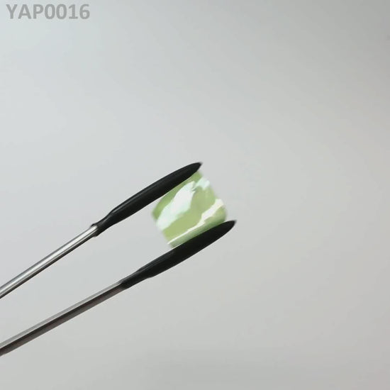 Pr:YAP : YAP0016