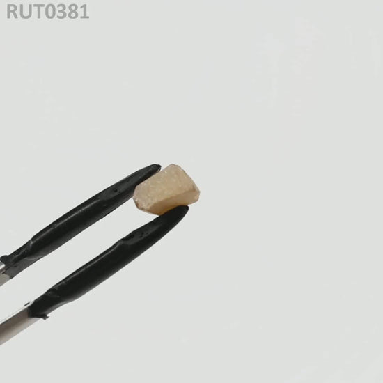 MOC-LightHoney : RUT0381