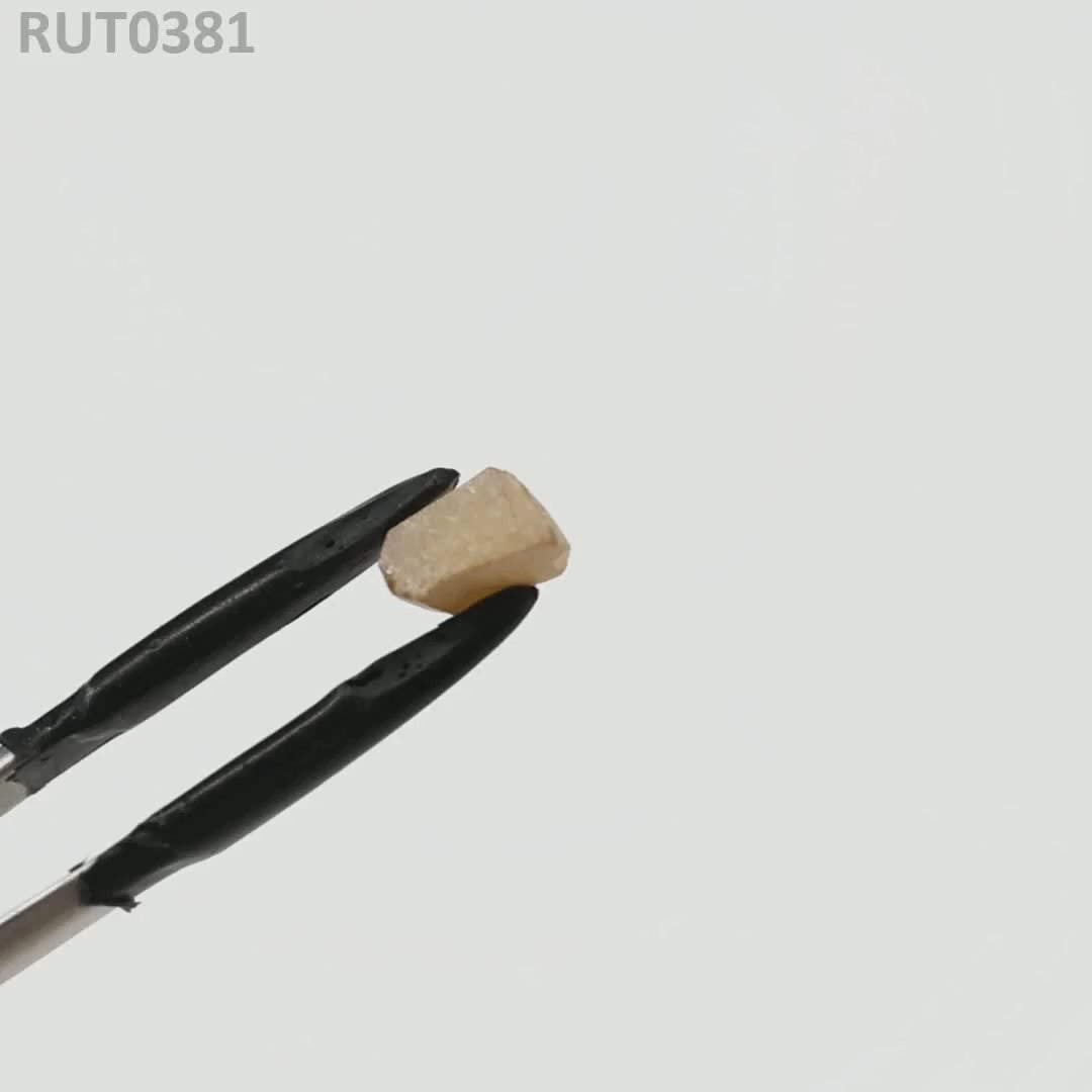 MOC-LightHoney : RUT0381