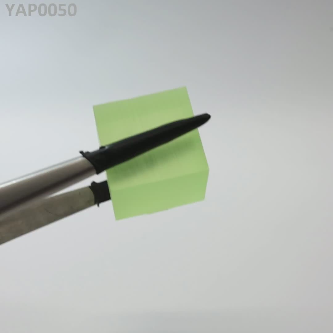 Pr:YAP : YAP0050
