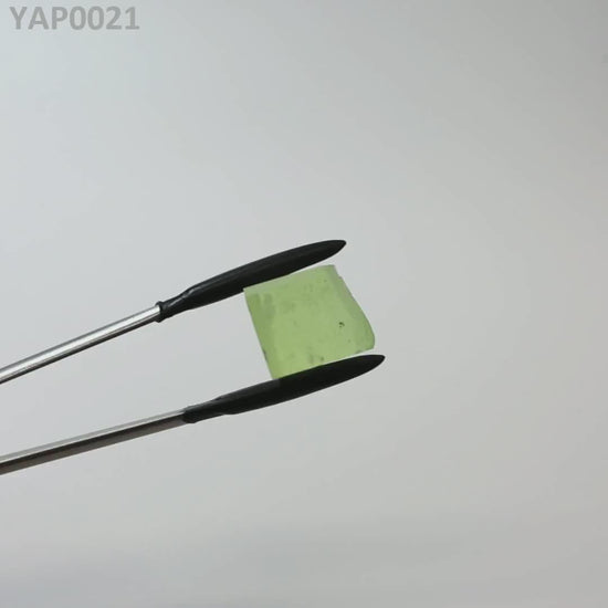 Pr:YAP : YAP0021