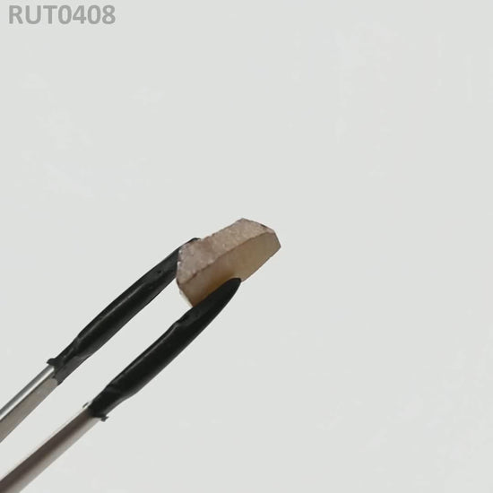 MOC-LightHoney : RUT0408