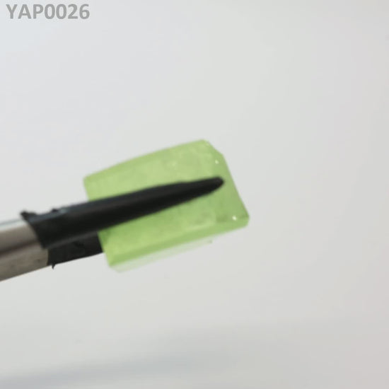 Pr:YAP : YAP0026