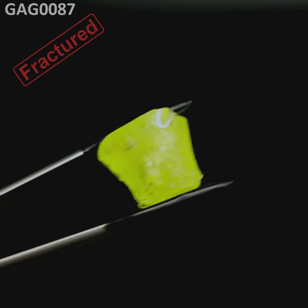 GAGG : GAG0087