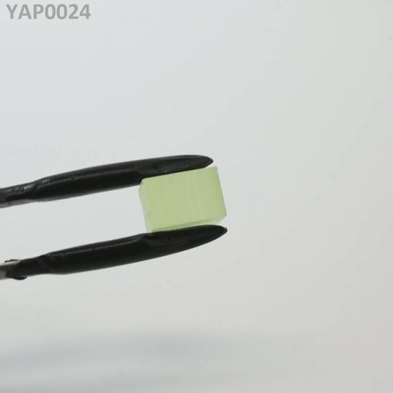 Pr:YAP : YAP0024