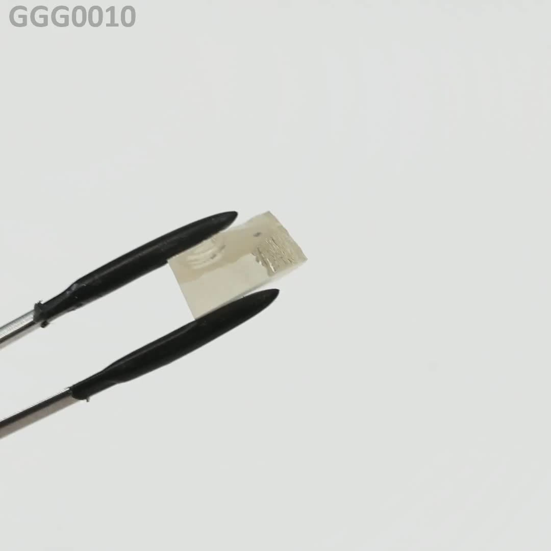 GGG : GGG0010