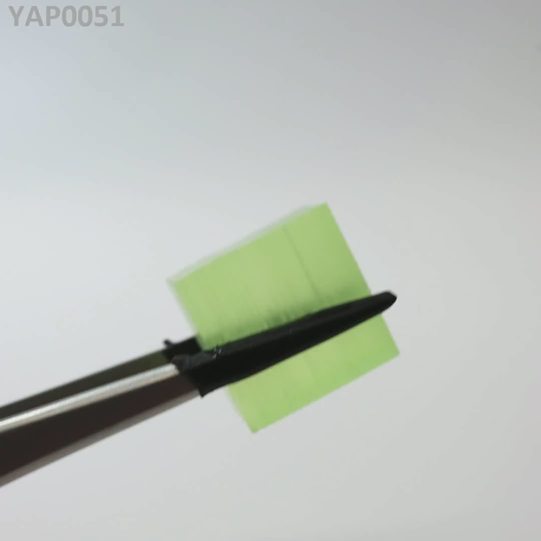 Pr:YAP : YAP0051