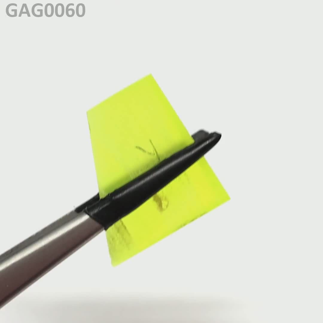 GAGG : GAG0060