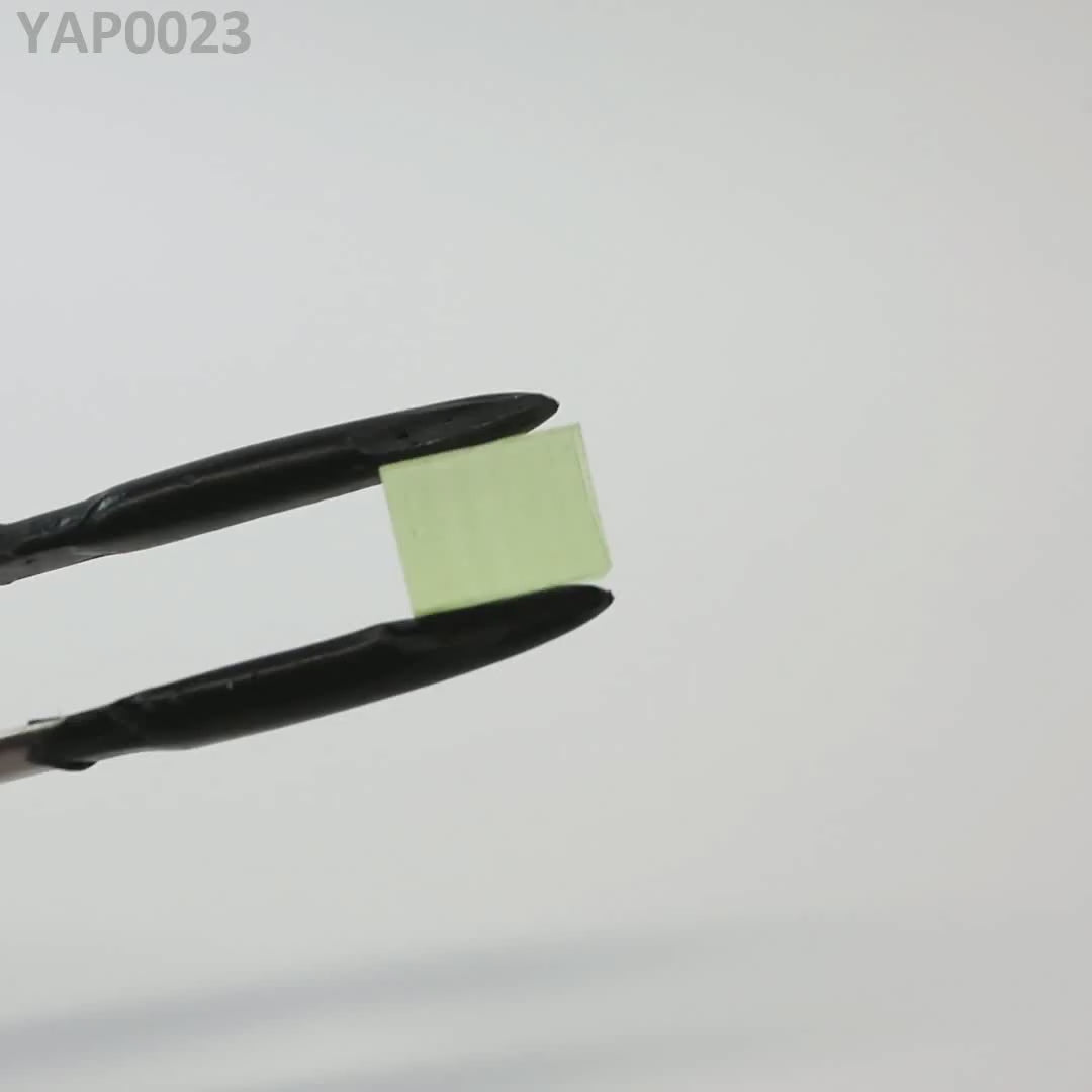 Pr:YAP : YAP0023