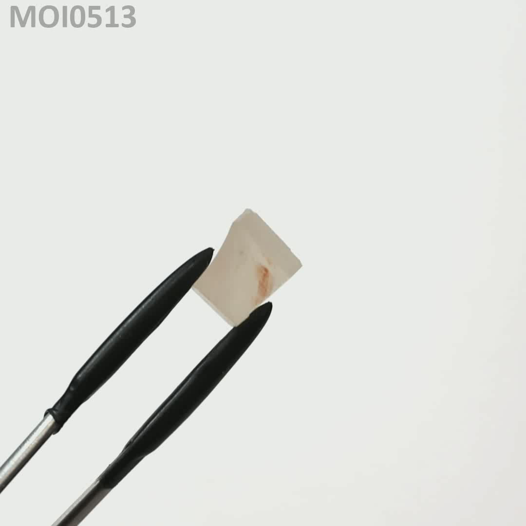 White DEF Moissanite