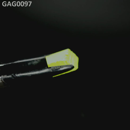GAGG : GAG0097