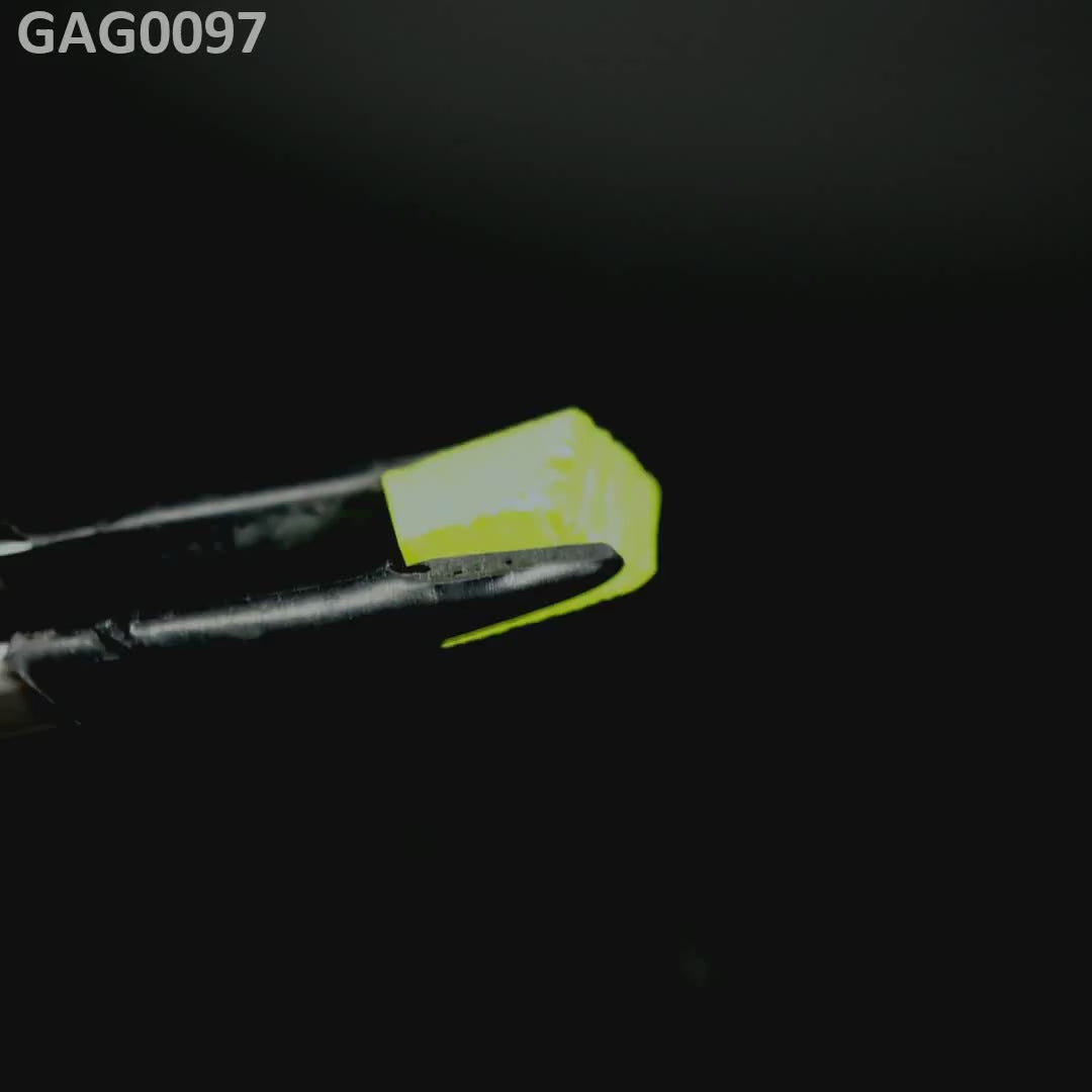 GAGG : GAG0097