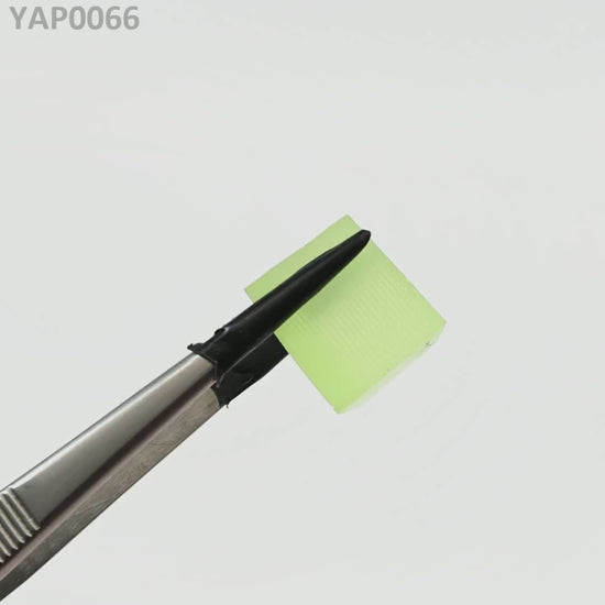 Pr:YAP : YAP0066