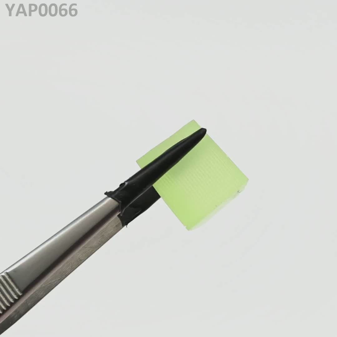 Pr:YAP : YAP0066