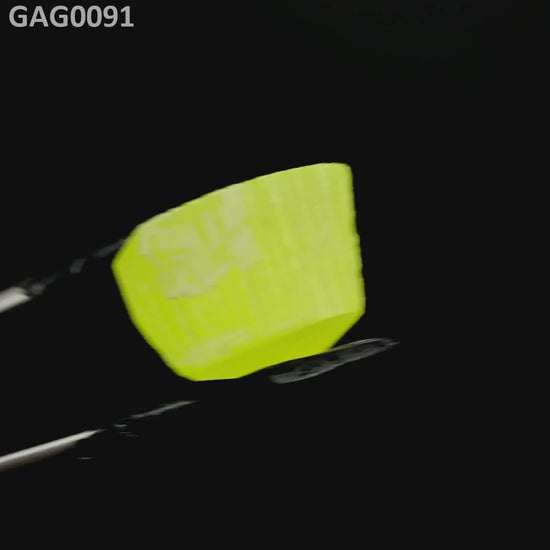 GAGG : GAG0091