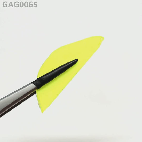 GAGG : GAG0065