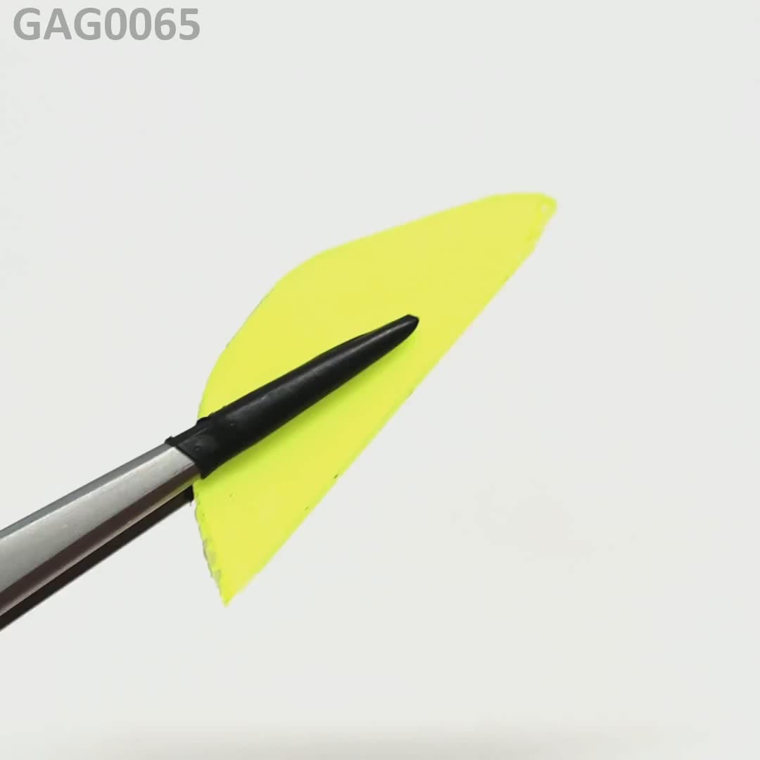 GAGG : GAG0065