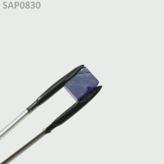 Royal Blue Sapphire : SAP0830