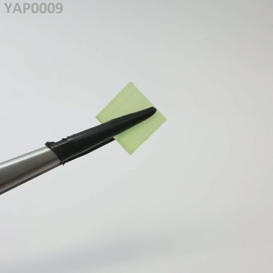 Pr:YAP : YAP0009