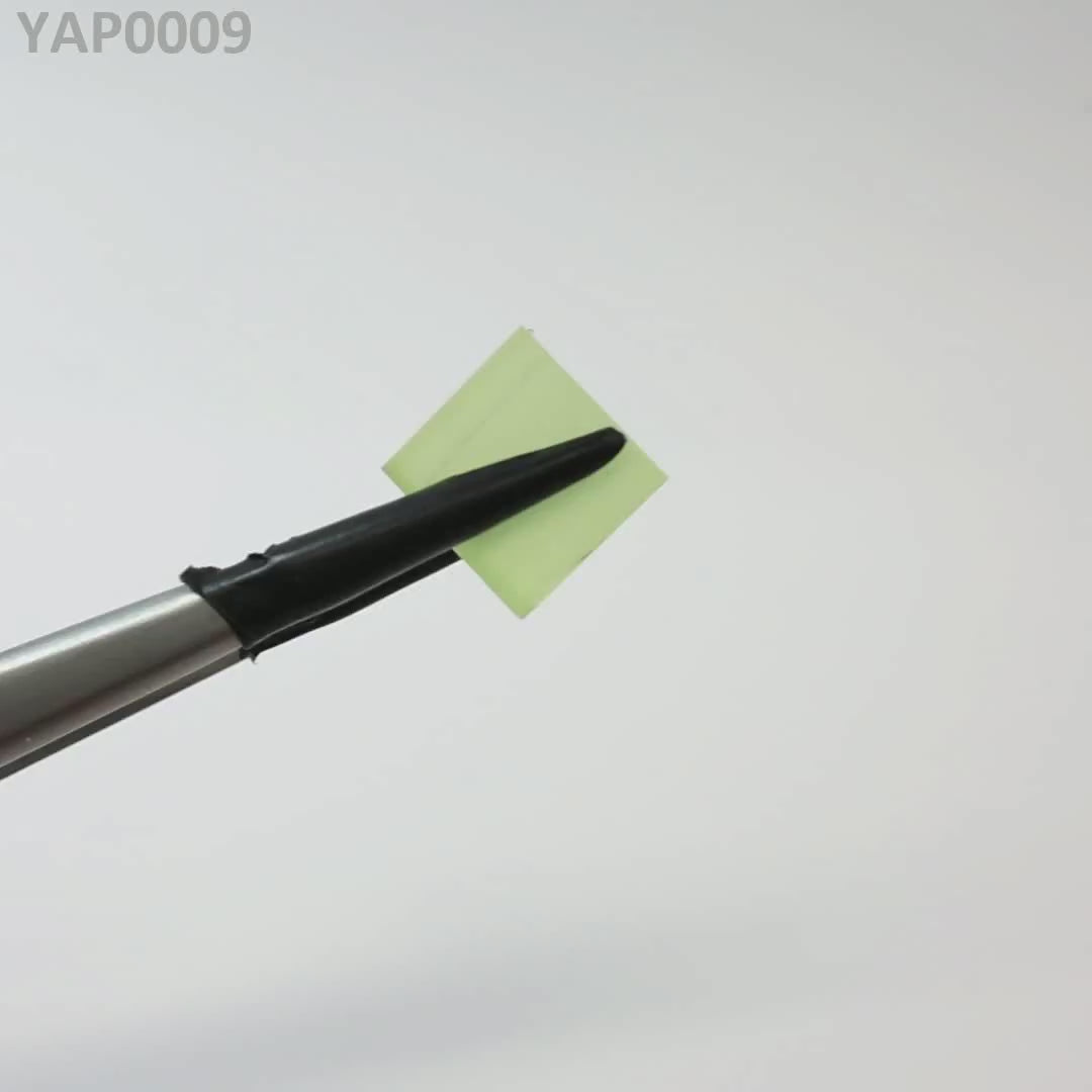 Pr:YAP : YAP0009