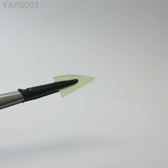 Pr:YAP : YAP0003