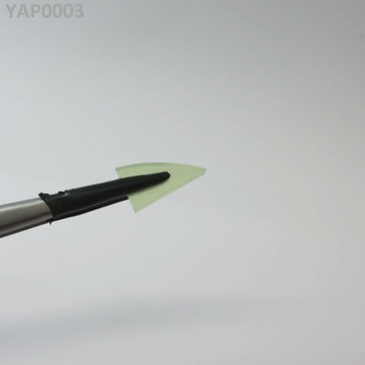 Pr:YAP : YAP0003