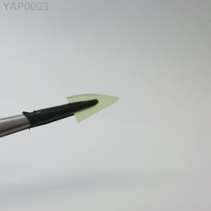 Pr:YAP : YAP0003