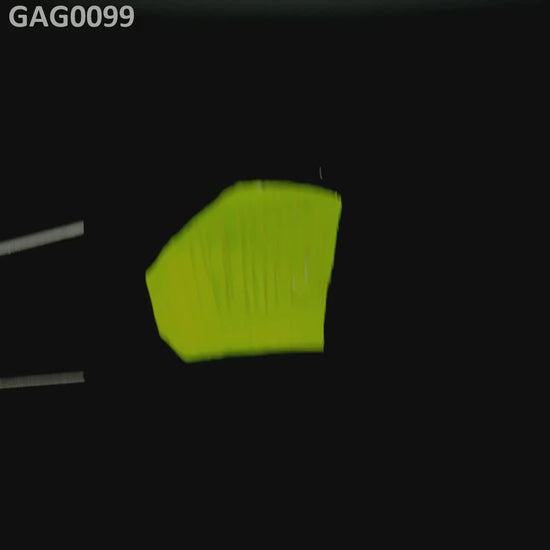 GAGG : GAG0099