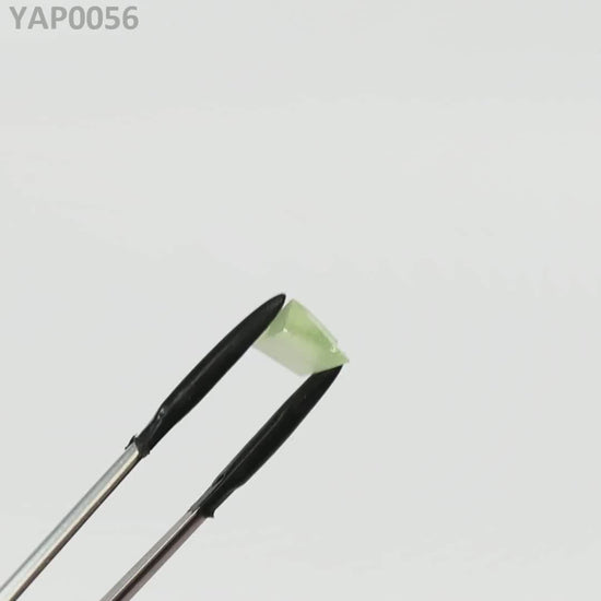 Pr:YAP : YAP0056
