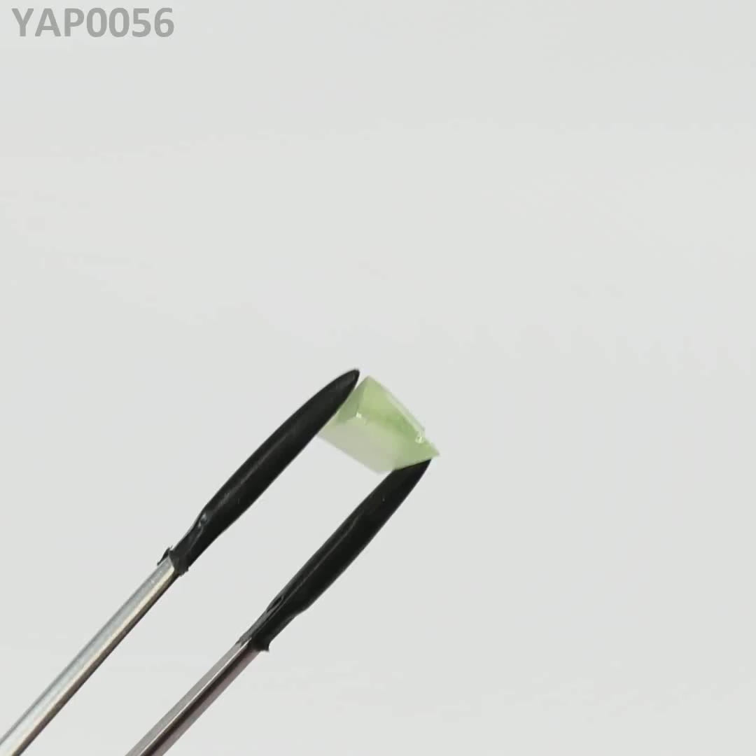 Pr:YAP : YAP0056