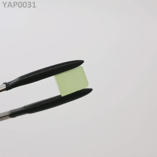 Pr:YAP : YAP0031