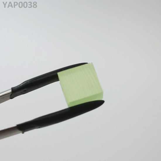Pr:YAP : YAP0038