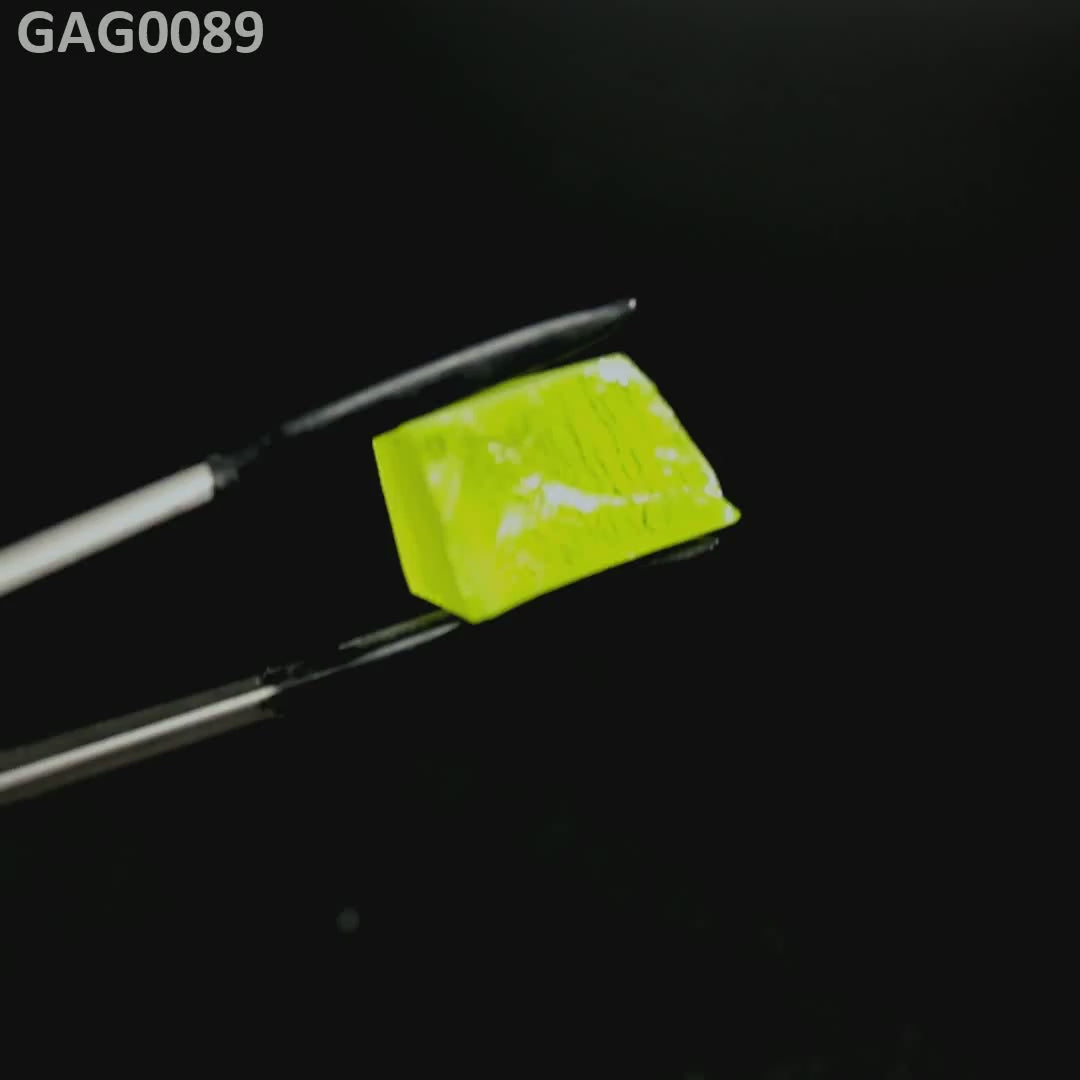 GAGG : GAG0089